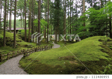 日用苔の里　石川県小松市日用町 111486955
