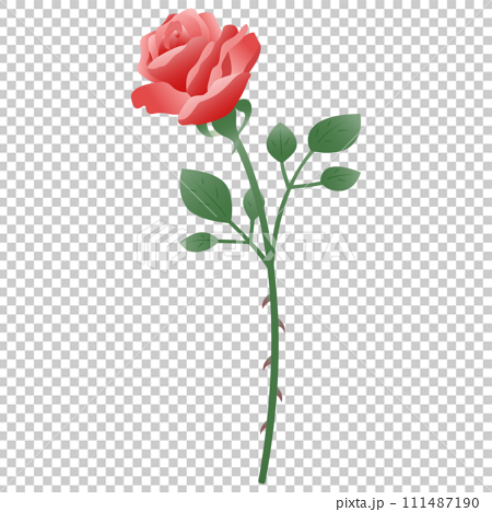 一輪の薔薇のイラスト、グラデーションカラー 111487190