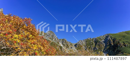 青空バックに紅葉越しに見る中央アルプスのパノラマ情景 111487897
