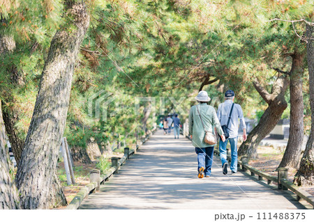 三保の松原　神の道 111488375