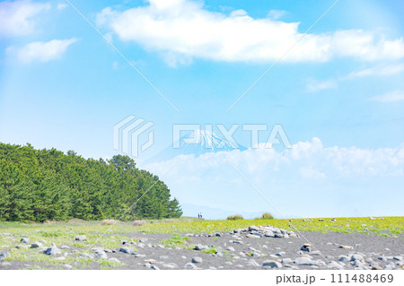 三保の松原と富士山 111488469