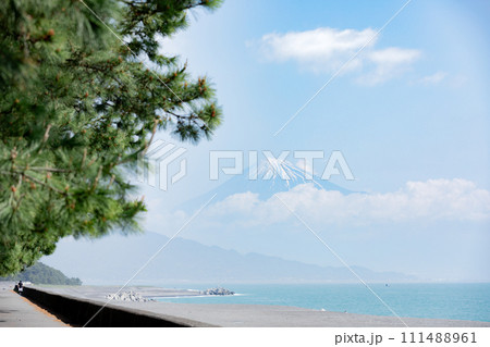 三保の松原と富士山 三保の松原と富士山 111488961