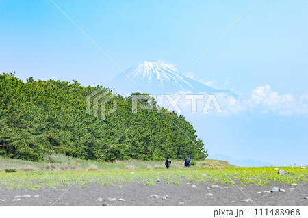 三保の松原と富士山 111488968