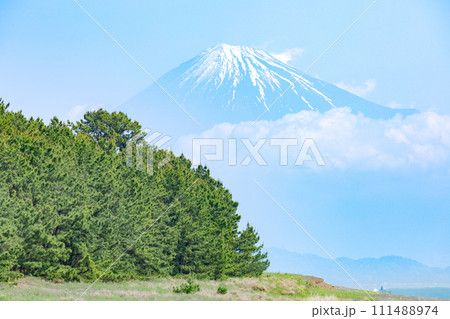 三保の松原と富士山 三保の松原と富士山 111488974
