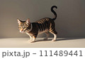 可愛いネコのイラスト 111489441