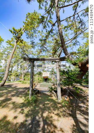 三保の松原 恵比寿神社 三保の松原 恵比寿神社 111489470