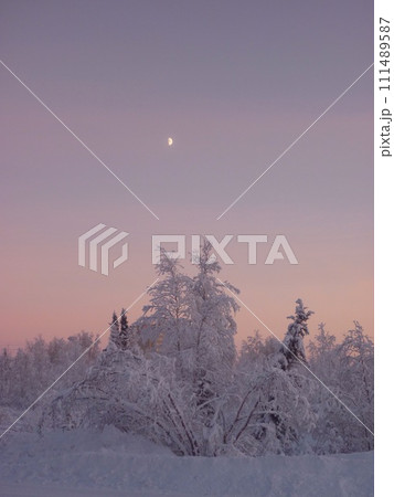 雪と月 111489587