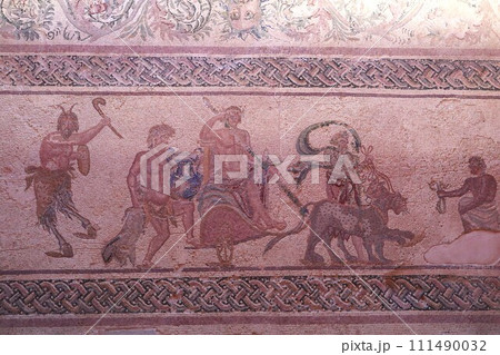 キプロス、パフォス遺跡ディオニソスの館モザイク 111490032