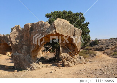 キプロス・パフォス、王族の墓 キプロス・パフォス、王族の墓 111490055