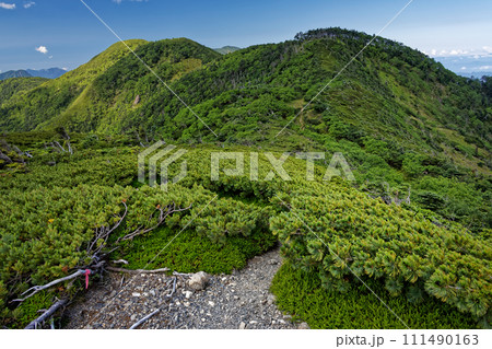 南アルプス・茶臼岳稜線から見る希望峰・仁田岳と光岳 111490163