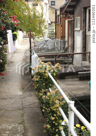 路地と花 111490301