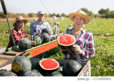 Portrait of woman plantation worker with two halves of ripe watermelon 111490903