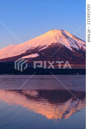 山梨県・山中湖に映る逆さ富士(早朝の紅富士) 山梨県・山中湖に映る逆さ富士(早朝の紅富士) 111491450