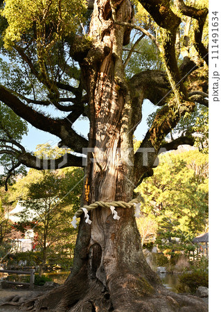 静岡浅間神社 静岡浅間神社 111491634