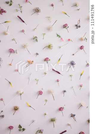 Flatlay small wildflowers uniformly on a white background 111491766