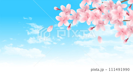 桜　風景　春　背景	 111491990