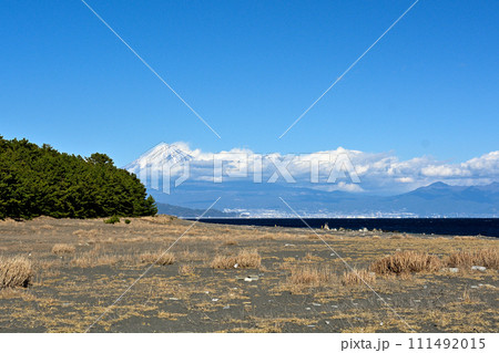 静岡・三保の松原 111492015