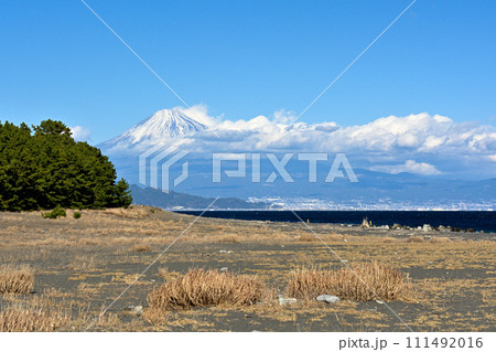 静岡・三保の松原 111492016