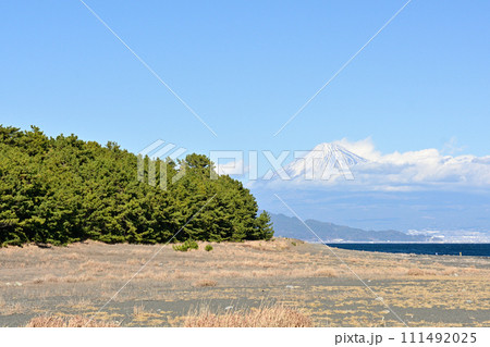 静岡・三保の松原 111492025