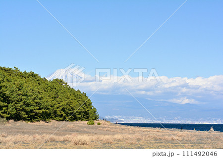 静岡・三保の松原 111492046