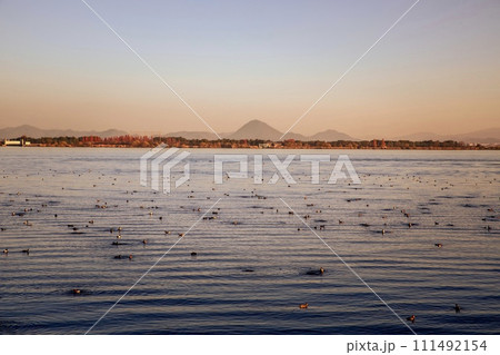 大津市、満月寺浮御堂から眺める琵琶湖の夕景 大津市、満月寺浮御堂から眺める琵琶湖の夕景 111492154