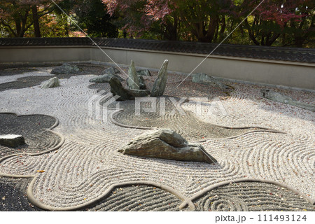 龍の庭(龍吟庵　西庭) 111493124