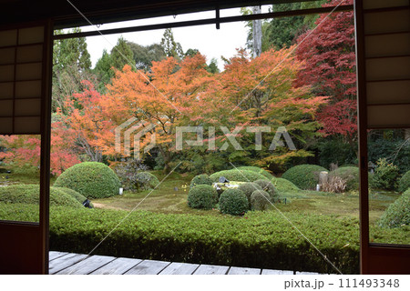 大輪の間から見る秋の庭園　雲龍院 111493348