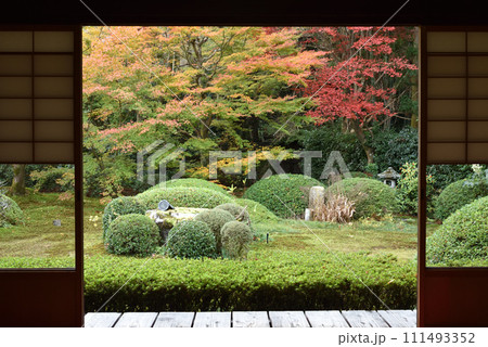 大輪の間から見る秋の庭園　雲龍院 111493352