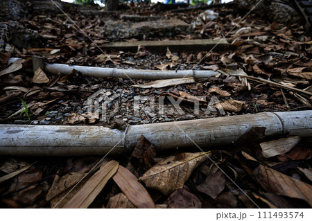 Natural paths and walkways along the river. Leaves and dirt on the ground. 111493574