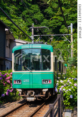 人気の鉄道路線　江ノ島電鉄（江ノ電）と紫陽花 111494043