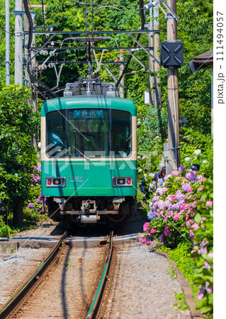 人気の鉄道路線　江ノ島電鉄（江ノ電）と紫陽花 111494057