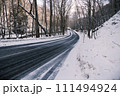 奥入瀬渓流　奥入瀬　滝 111494924