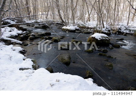 奥入瀬渓流　奥入瀬　滝 111494947