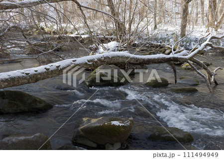 奥入瀬渓流　奥入瀬　滝 111494949