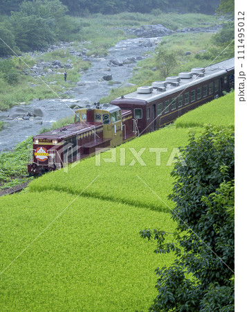 雨の中を渡良瀬川と水田の間を走る「わたらせ渓谷鉄道」 111495012