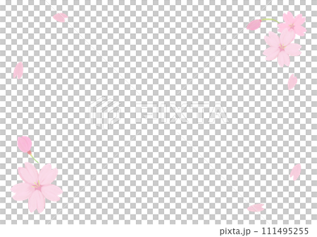 桜の花びらが舞うフレーム、アナログ手描き風味、コピースペース有り、メッセージカード、横 桜の花びらが舞うフレーム、アナログ手描き風味、コピースペース有り、メッセージカード、横 111495255