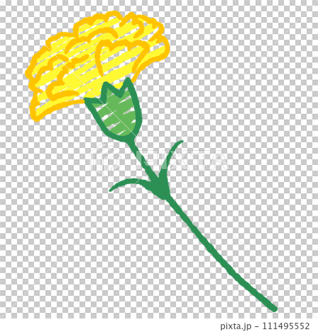 シンプルな黄色いカーネーションのイラスト 111495552