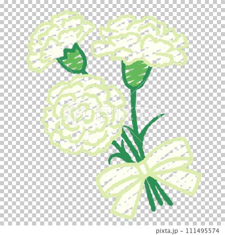 簡單的白色康乃馨花束的插圖 111495574
