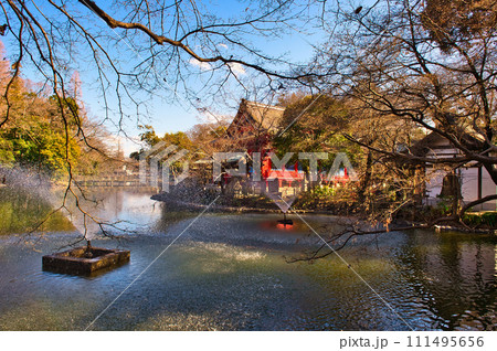 真冬の井の頭公園 井の頭弁財天の風景 111495656