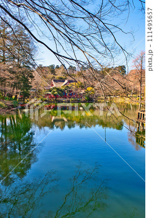 真冬の井の頭公園 井の頭弁財天の風景 真冬の井の頭公園 井の頭弁財天の風景 111495657