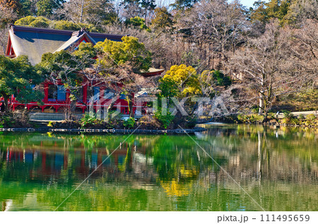 真冬の井の頭公園 井の頭弁財天の風景 真冬の井の頭公園 井の頭弁財天の風景 111495659