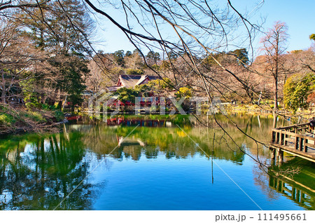 真冬の井の頭公園 井の頭弁財天の風景 111495661