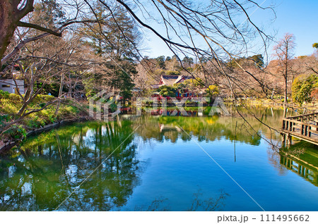真冬の井の頭公園 井の頭弁財天の風景 111495662