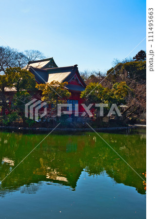 真冬の井の頭公園 井の頭弁財天の風景 111495663