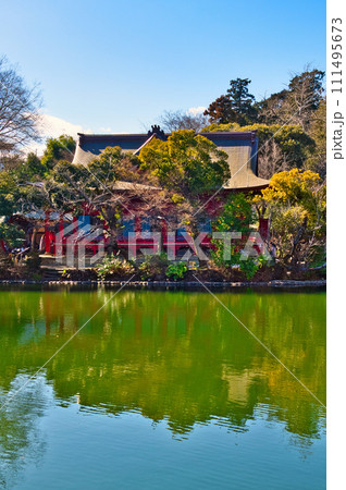 真冬の井の頭公園 井の頭弁財天の風景 111495673