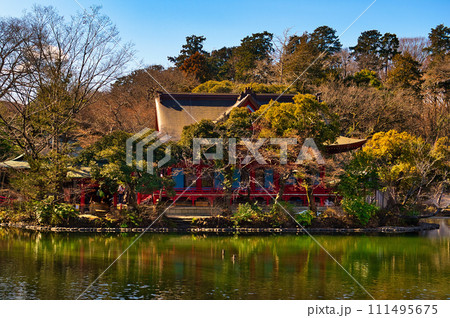 真冬の井の頭公園 井の頭弁財天の風景 111495675