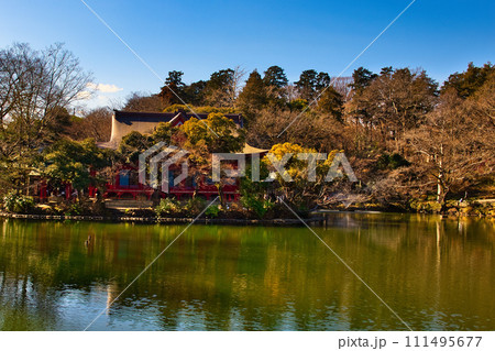 真冬の井の頭公園 井の頭弁財天の風景 111495677