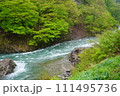 新緑に映える清津峡 111495736