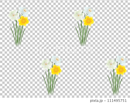 Daffodil seamless pattern (PNG) 111495751