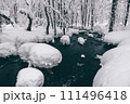 裏磐梯　長瀬川 111496418